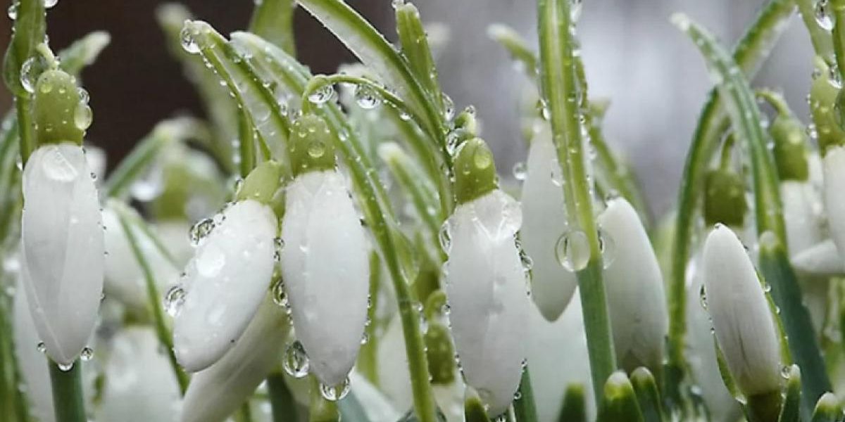 Найменша доплата до пенсії – 100 гривень. Які зміни чекають українців у березні