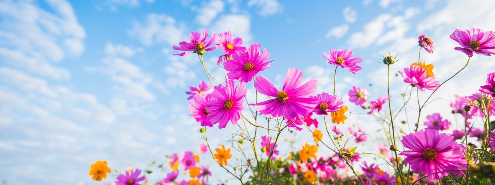 Які зміни чекають українців з 1 травня