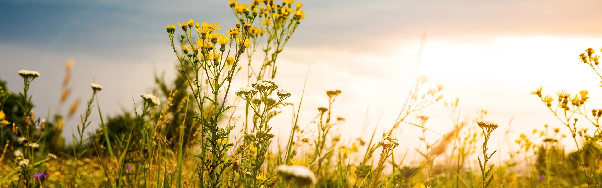 Липень 2023: які новації чекають українців